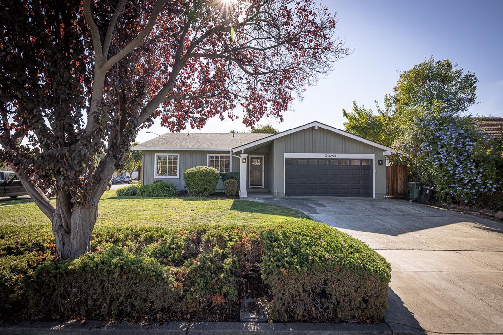Detail Gallery Image 1 of 1 For 36295 Exeter Ct, Newark,  CA 94560 - 4 Beds | 2 Baths
