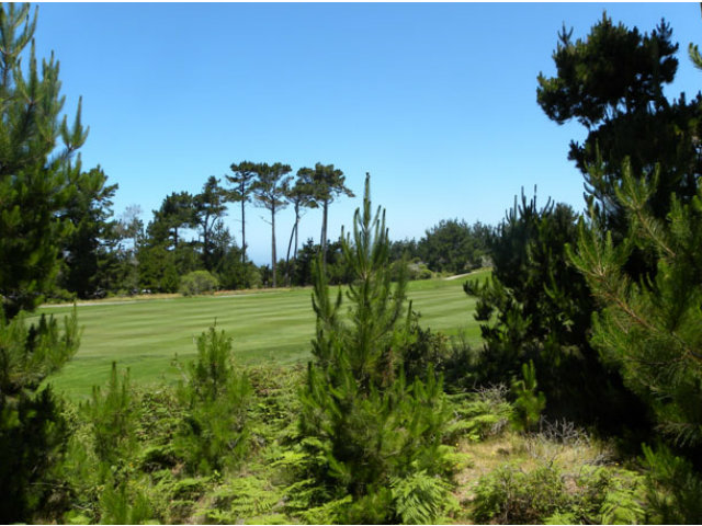 2821 17 MILE Drive, PEBBLE BEACH, California 93953, ,Lots And Land,For Sale,17 MILE Drive,40966581