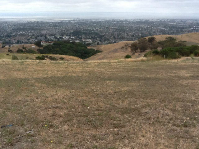 2109 PAPPAS Place, HAYWARD, California 94542, ,Lots And Land,For Sale,PAPPAS Place,40966580
