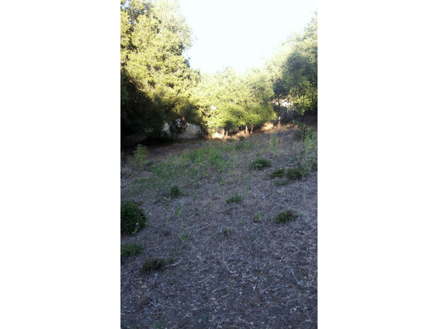 15560 LORI ANNE Lane, SAN JOSE, California 95127, ,Lots And Land,For Sale,LORI ANNE Lane,40966579