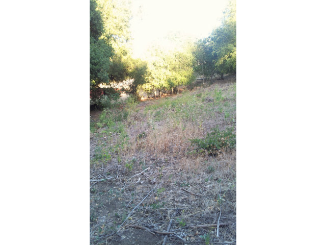 15560 LORI ANNE Lane, SAN JOSE, California 95127, ,Lots And Land,For Sale,LORI ANNE Lane,40966579