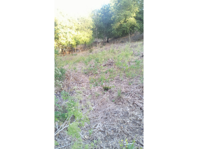 15560 LORI ANNE Lane, SAN JOSE, California 95127, ,Lots And Land,For Sale,LORI ANNE Lane,40966579