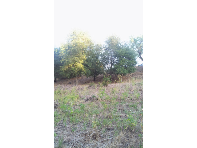 15560 LORI ANNE Lane, SAN JOSE, California 95127, ,Lots And Land,For Sale,LORI ANNE Lane,40966579