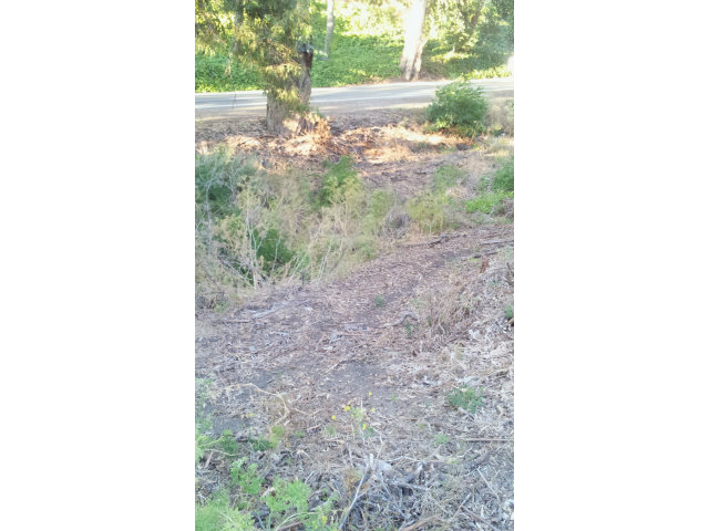 15560 LORI ANNE Lane, SAN JOSE, California 95127, ,Lots And Land,For Sale,LORI ANNE Lane,40966579