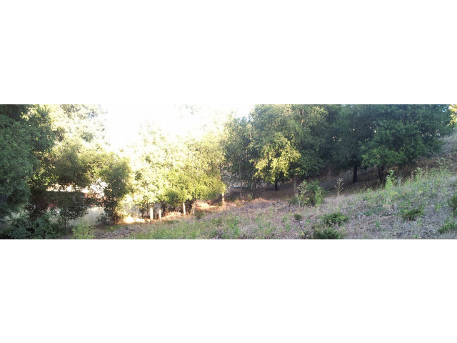 15560 LORI ANNE Lane, SAN JOSE, California 95127, ,Lots And Land,For Sale,LORI ANNE Lane,40966579