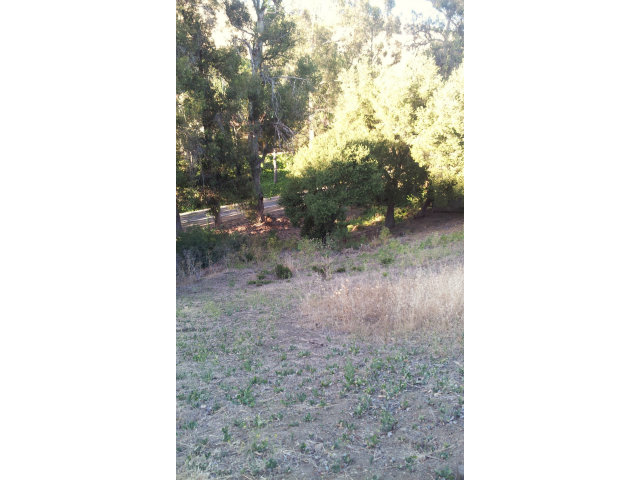 15560 LORI ANNE Lane, SAN JOSE, California 95127, ,Lots And Land,For Sale,LORI ANNE Lane,40966579