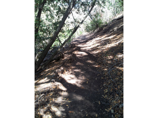 0 MIGUELITA Road, SAN JOSE, California 95127, ,Lots And Land,For Sale,MIGUELITA Road,40966578