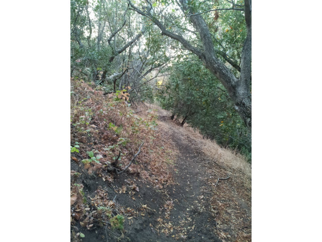 0 MIGUELITA Road, SAN JOSE, California 95127, ,Lots And Land,For Sale,MIGUELITA Road,40966578