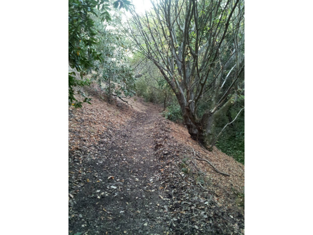 0 MIGUELITA Road, SAN JOSE, California 95127, ,Lots And Land,For Sale,MIGUELITA Road,40966578