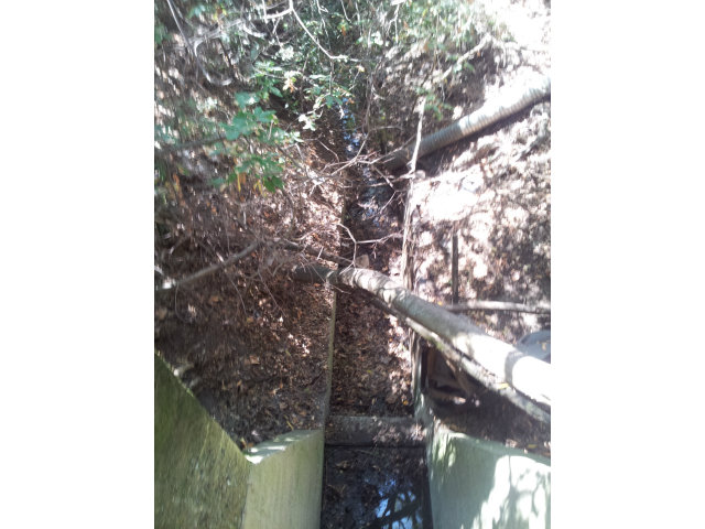 0 MIGUELITA Road, SAN JOSE, California 95127, ,Lots And Land,For Sale,MIGUELITA Road,40966578
