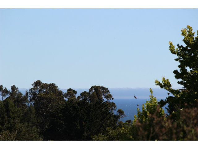 126 PENGUIN Court, SANTA CRUZ, California 95060, ,Lots And Land,For Sale,PENGUIN Court,40966577
