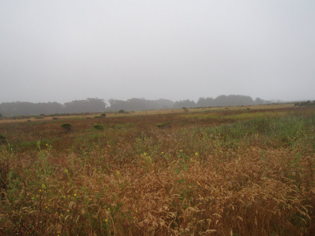 0 Fairview Avenue, HALF MOON BAY, California 94019, ,Lots And Land,For Sale,Fairview Avenue,40966526