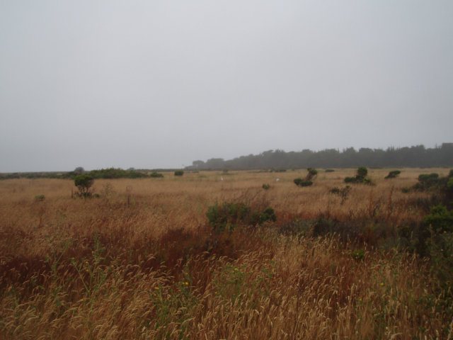 0 Fairview Avenue, HALF MOON BAY, California 94019, ,Lots And Land,For Sale,Fairview Avenue,40966526