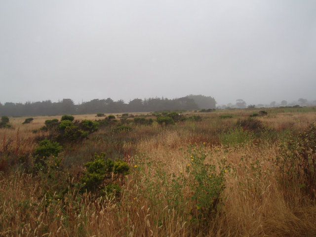 0 Fairview Avenue, HALF MOON BAY, California 94019, ,Lots And Land,For Sale,Fairview Avenue,40966526