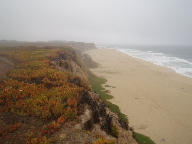 0 Fairview Avenue, HALF MOON BAY, California 94019, ,Lots And Land,For Sale,Fairview Avenue,40966526