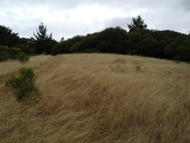 0 Echo Valley Road, OTHER - SEE REMARKS, California 93907, ,Lots And Land,For Sale,Echo Valley Road,40966524