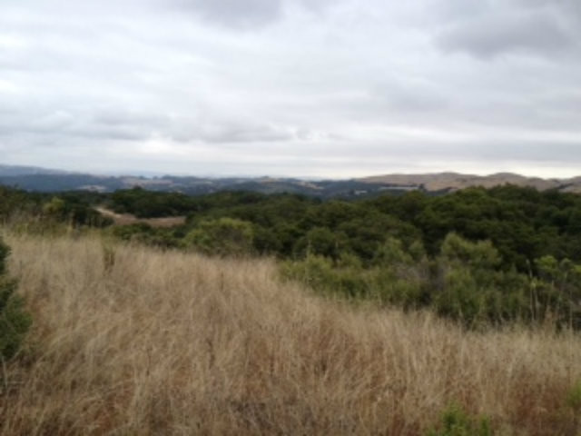 0 Echo Valley Road, OTHER - SEE REMARKS, California 93907, ,Lots And Land,For Sale,Echo Valley Road,40966524