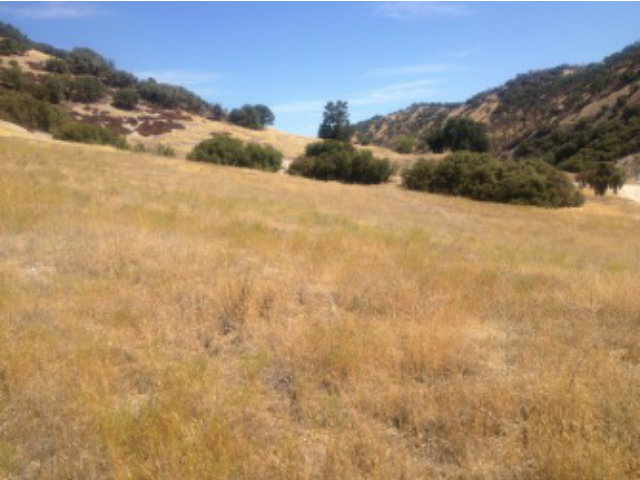 0 Interlake Road, OTHER - SEE REMARKS, California 93426, ,Lots And Land,For Sale,Interlake Road,40966522