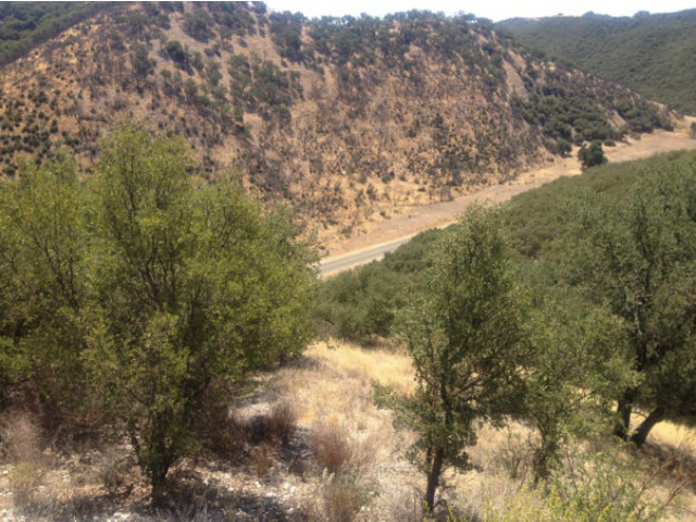 0 Interlake Road, OTHER - SEE REMARKS, California 93426, ,Lots And Land,For Sale,Interlake Road,40966522