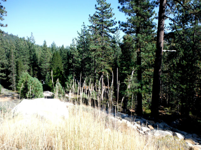 0 Snow Dance Place, TRUCKEE, California 96161, ,Lots And Land,For Sale,Snow Dance Place,40966532