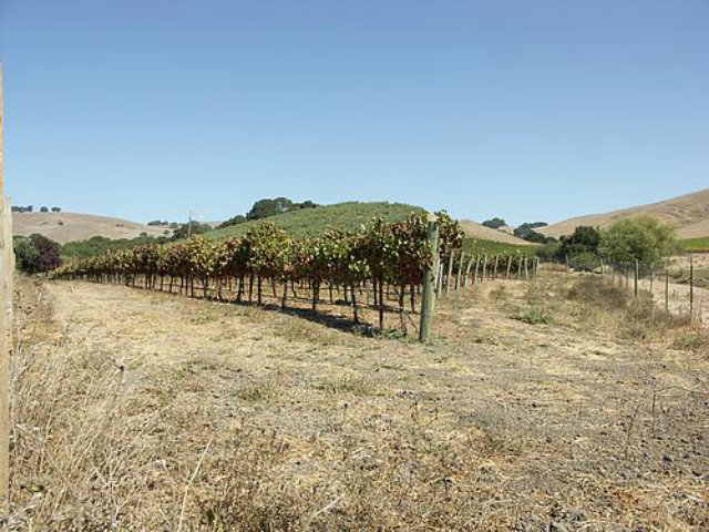 130 Polson Road, NAPA, California 94558, ,Lots And Land,For Sale,Polson Road,40966564