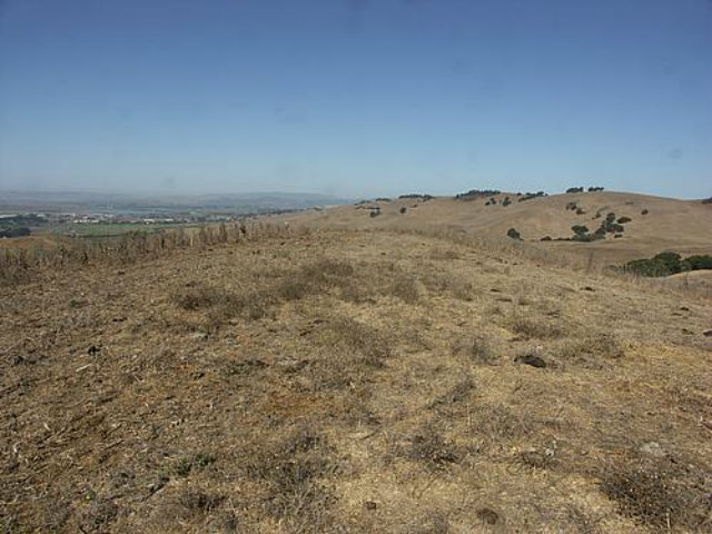 130 Polson Road, NAPA, California 94558, ,Lots And Land,For Sale,Polson Road,40966564
