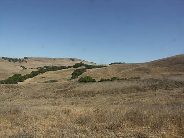 130 Polson Road, NAPA, California 94558, ,Lots And Land,For Sale,Polson Road,40966564