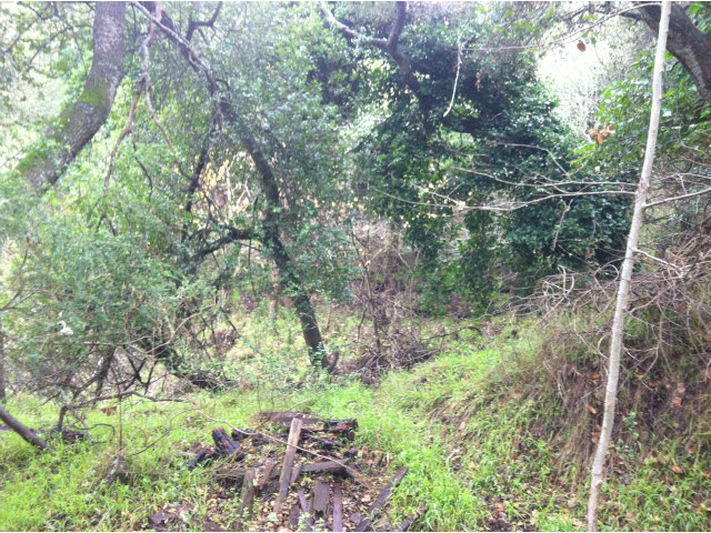0 San Juan Boulevard, BELMONT, California 94002, ,Lots And Land,For Sale,San Juan Boulevard,40966561