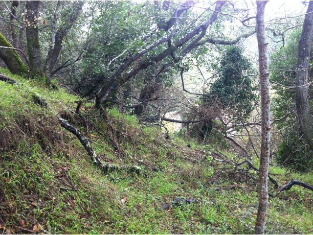 0 San Juan Boulevard, BELMONT, California 94002, ,Lots And Land,For Sale,San Juan Boulevard,40966561