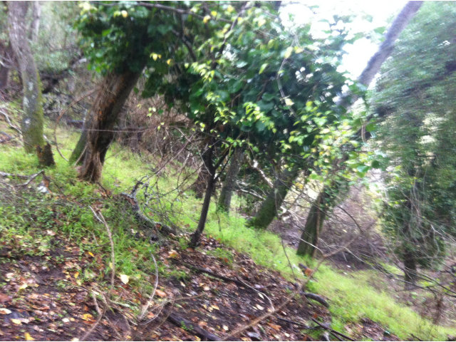 0 San Juan Boulevard, BELMONT, California 94002, ,Lots And Land,For Sale,San Juan Boulevard,40966561