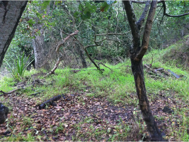 0 San Juan Boulevard, BELMONT, California 94002, ,Lots And Land,For Sale,San Juan Boulevard,40966561