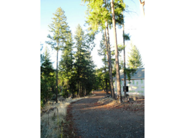 560 Wildwood Lane, HAYFORK, California 96041, ,Lots And Land,For Sale,Wildwood Lane,40966528