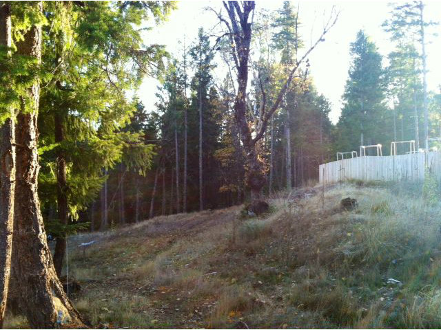 560 Wildwood Lane, HAYFORK, California 96041, ,Lots And Land,For Sale,Wildwood Lane,40966528