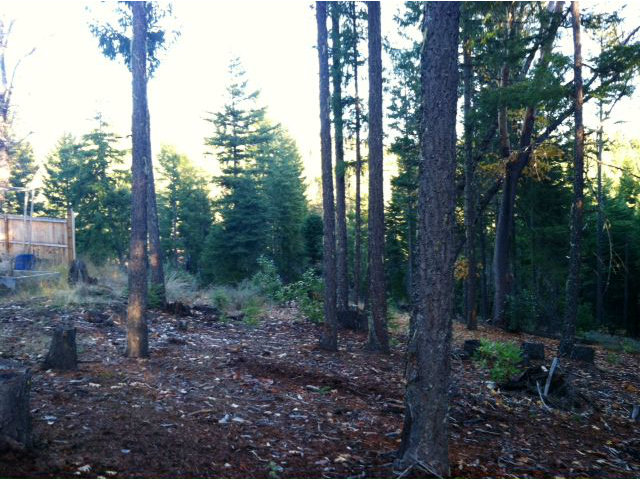 560 Wildwood Lane, HAYFORK, California 96041, ,Lots And Land,For Sale,Wildwood Lane,40966528