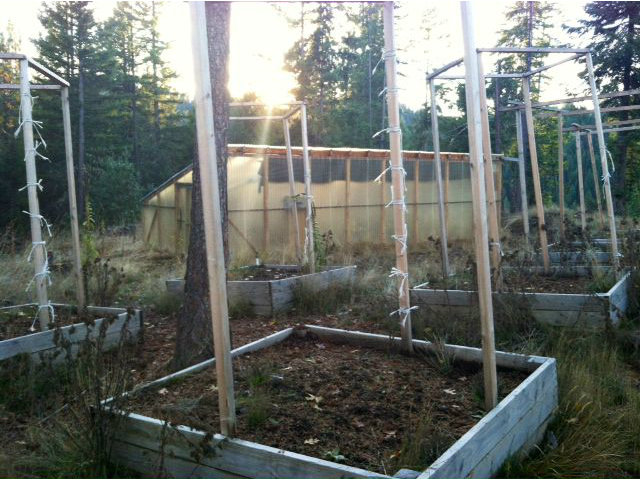560 Wildwood Lane, HAYFORK, California 96041, ,Lots And Land,For Sale,Wildwood Lane,40966528
