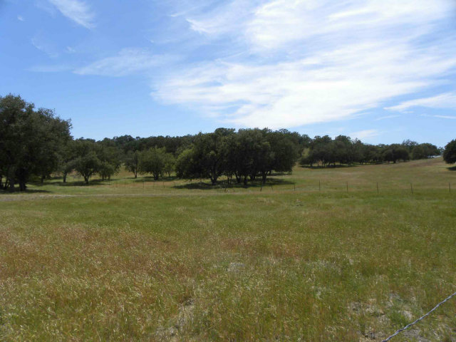 0 Jolon Road, OTHER - SEE REMARKS, California 93426, ,Lots And Land,For Sale,Jolon Road,40966520