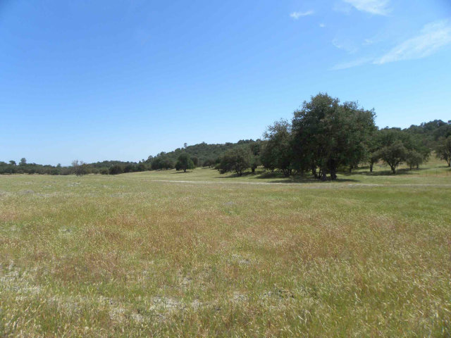 0 Jolon Road, OTHER - SEE REMARKS, California 93426, ,Lots And Land,For Sale,Jolon Road,40966520