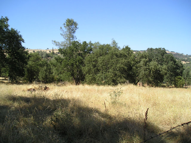 3770 Poag, VALLECITO, California 95251, ,Lots And Land,For Sale,Poag,40966510
