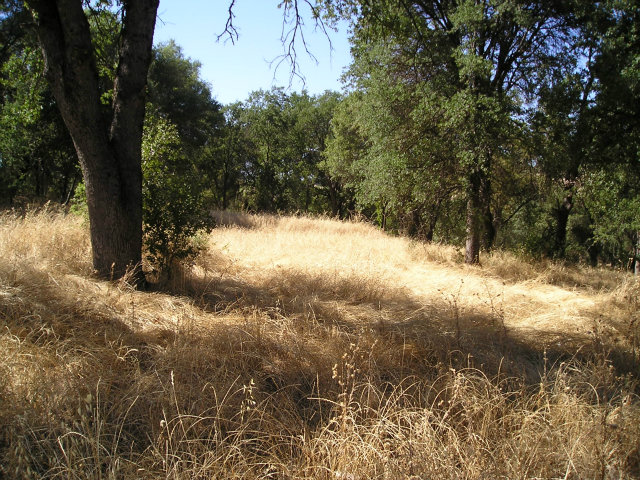 3770 Poag, VALLECITO, California 95251, ,Lots And Land,For Sale,Poag,40966510