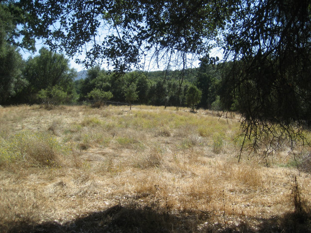1954 Centennial, ANGELS CAMP, California 95222, ,Lots And Land,For Sale,Centennial,40966509