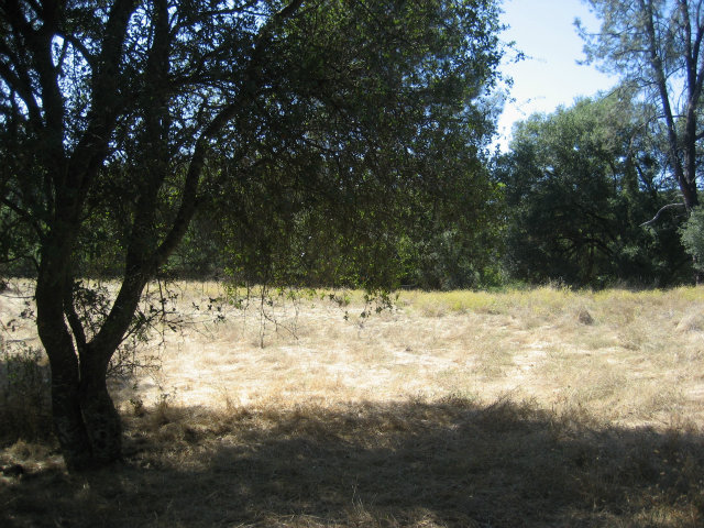 1954 Centennial, ANGELS CAMP, California 95222, ,Lots And Land,For Sale,Centennial,40966509
