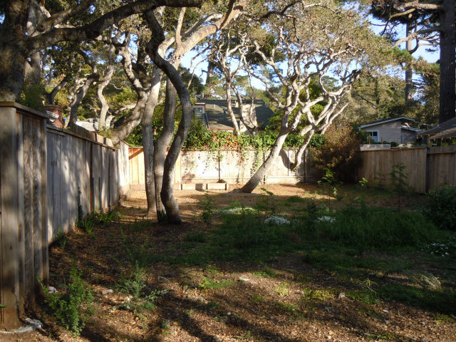 0 CASANOVA 3 NE of 13TH Street, CARMEL, California 93921, ,Lots And Land,For Sale,CASANOVA 3 NE of 13TH Street,40966551