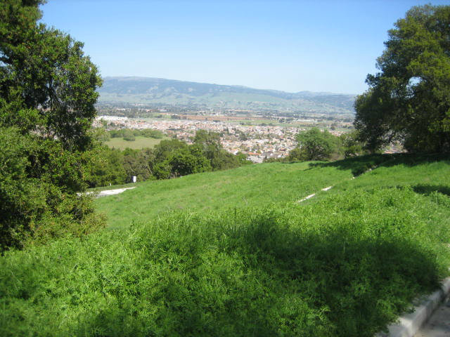8950 MIMOSA Court, GILROY, California 95020, ,Lots And Land,For Sale,MIMOSA Court,40966505
