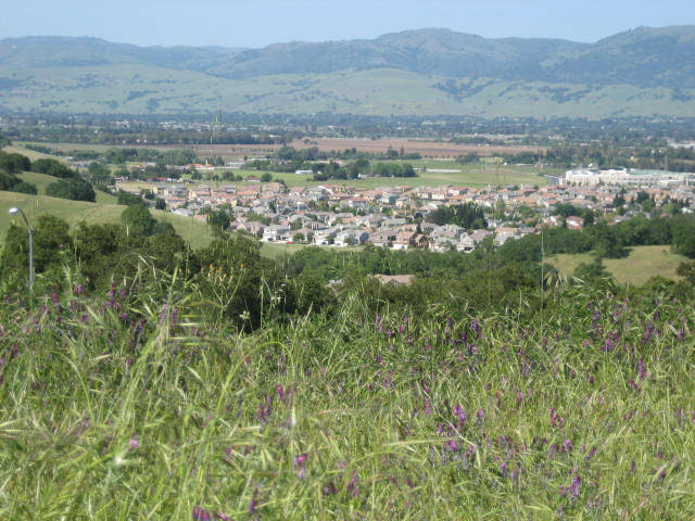 8950 MIMOSA Court, GILROY, California 95020, ,Lots And Land,For Sale,MIMOSA Court,40966505