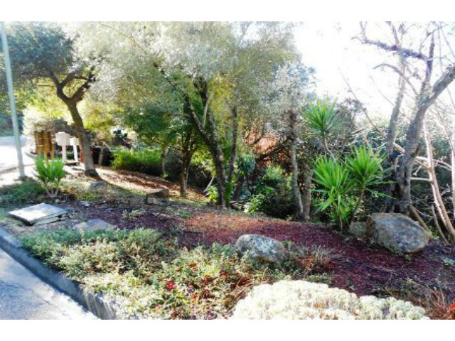0 SKYLINE Boulevard, OAKLAND, California 94611, ,Lots And Land,For Sale,SKYLINE Boulevard,40966485