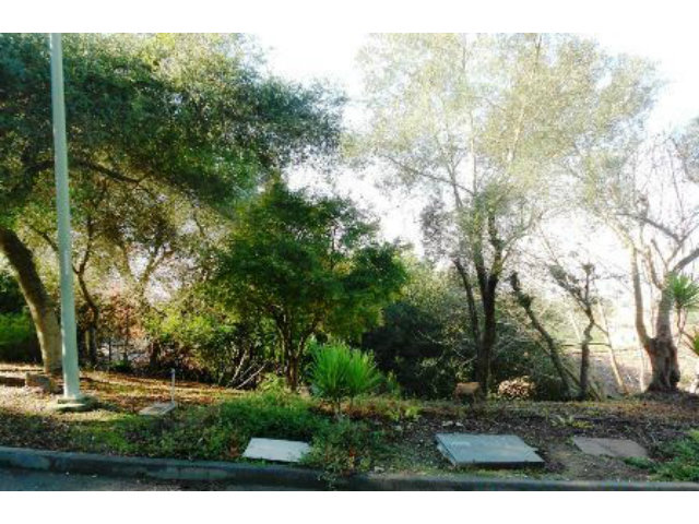 0 SKYLINE Boulevard, OAKLAND, California 94611, ,Lots And Land,For Sale,SKYLINE Boulevard,40966485
