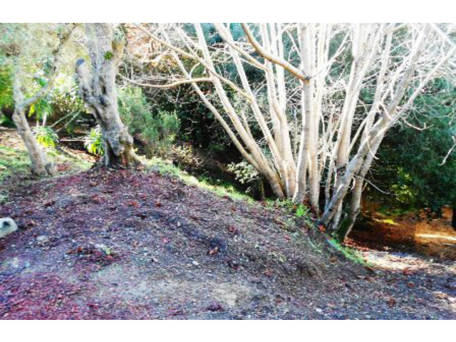 0 SKYLINE Boulevard, OAKLAND, California 94611, ,Lots And Land,For Sale,SKYLINE Boulevard,40966485