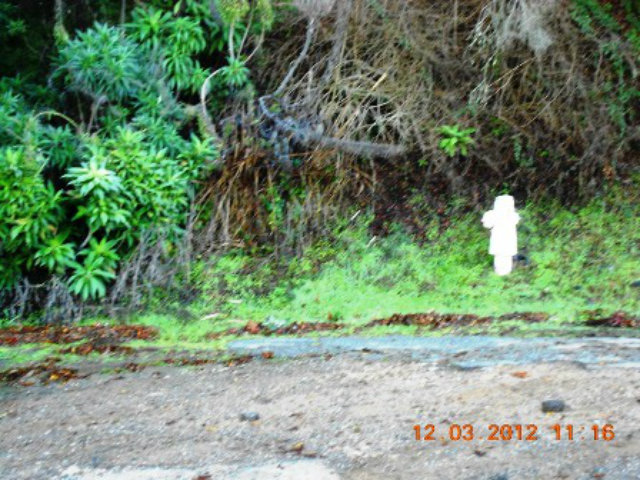 0 SKYLINE Boulevard, OAKLAND, California 94611, ,Lots And Land,For Sale,SKYLINE Boulevard,40966485
