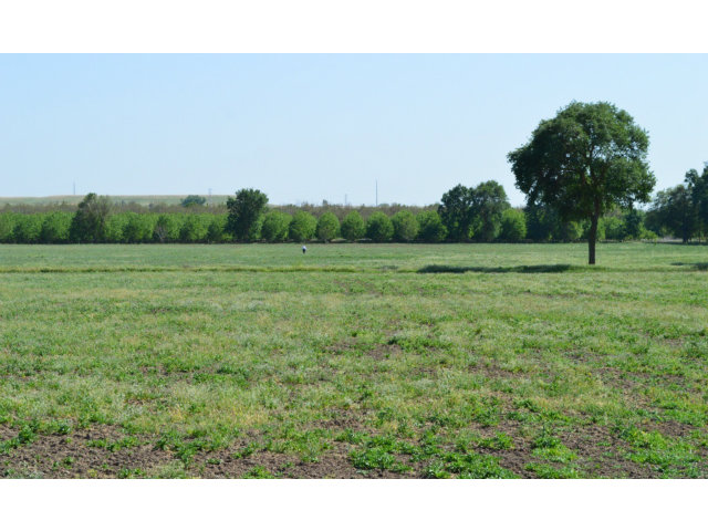 11151 WIMER Road, LINDEN, California 95236, ,Comm Lots And Land,For Sale,WIMER Road,40962756