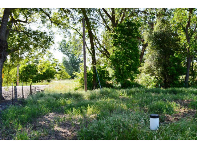 11151 WIMER Road, LINDEN, California 95236, ,Comm Lots And Land,For Sale,WIMER Road,40962756